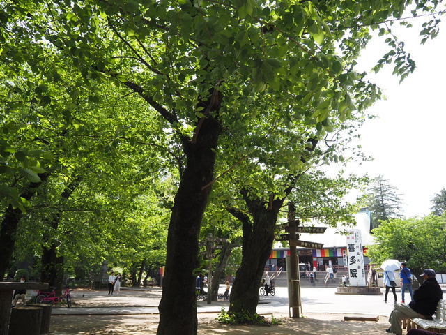⛩️ 喜多院｜意外發現的靜謐休憩地