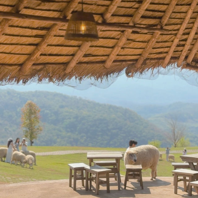 อาข่า ฟาร์มวิลล์ (Akha FarmVille) 🐑🌳🍃 