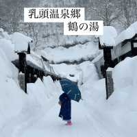 【秋田】人気宿 乳頭温泉郷 鶴の湯♨️雪の中で露天風呂♨️