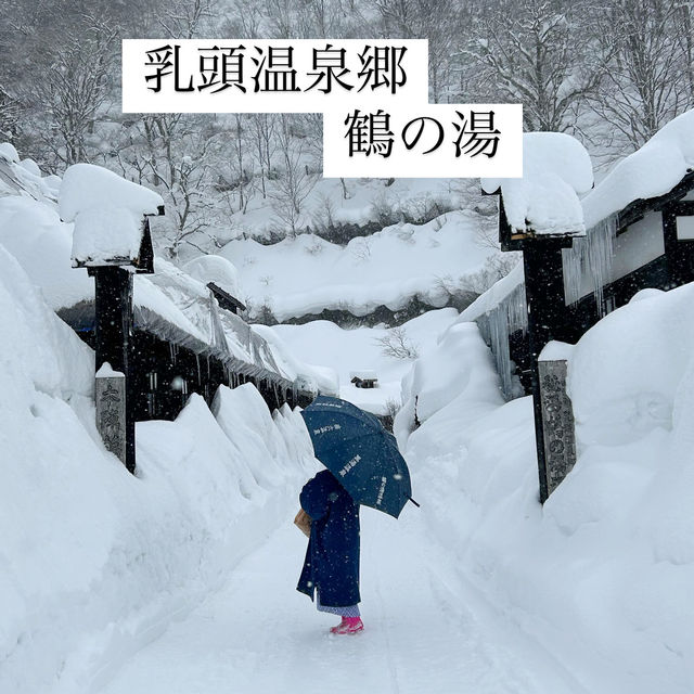 【秋田】人気宿 乳頭温泉郷 鶴の湯♨️雪の中で露天風呂♨️