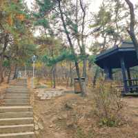 景山公園：在“城市綠肺裡深呼吸” 🌳💨
