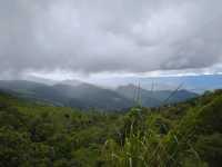 Doi Pha Tang: Hidden gem in northern Thailand