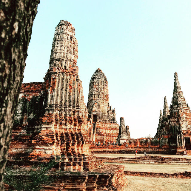 Sunset Serenity at Wat Chaiwatthanaram