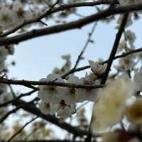 Review of Small Luxury Hotels of The Word-Hangzhou Muh Shoou Xixi Hotel