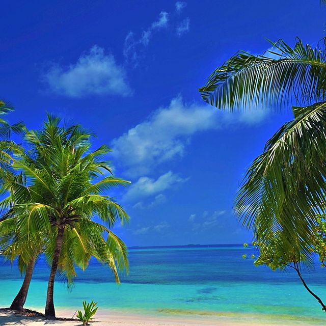 Unwind and Indulge - The Best Resorts you need to know 
