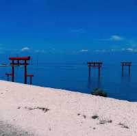海に浮かぶ幻想的な鳥居⛩️🌊 干潮時には歩いて渡れる！