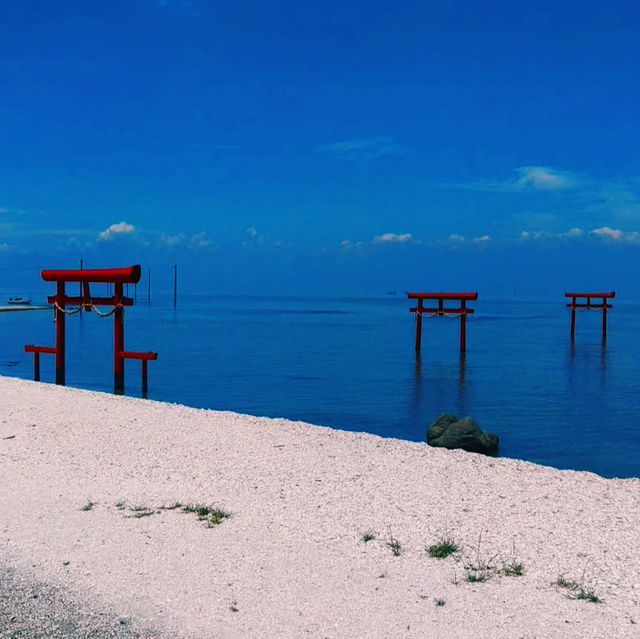 海に浮かぶ幻想的な鳥居⛩️🌊 干潮時には歩いて渡れる！