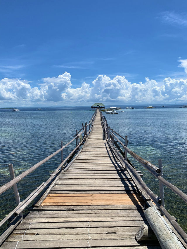 【セブ島】アイランドホッピング🇵🇭