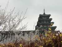 National Folk Museum of Korea