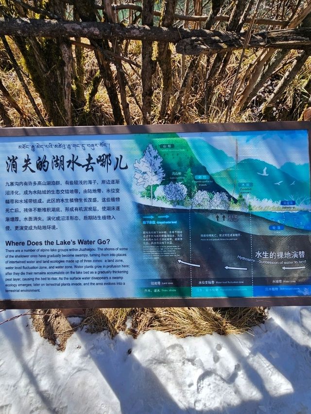 🌲🌳จิ่วจ้ายโกว (Jiuzhaigou สวรรค์แห่งเสฉวน)