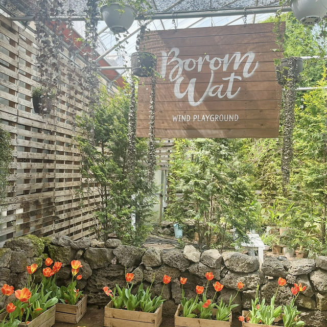 제주도 봄 여행 유채꽃 명소 <보롬왓> 🌼