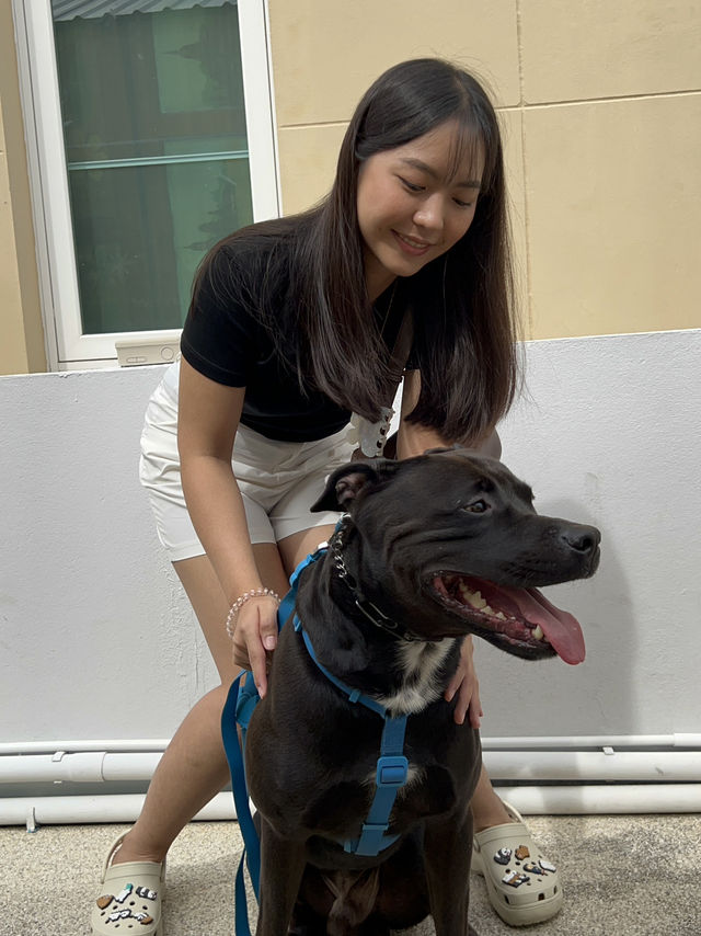 🫶🏻 Waikiki คาเฟ่ Pet Friendly @HuaHin