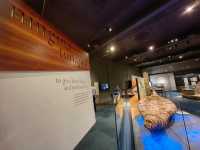 郵輪岸上遊～Tasmanian Art Gallery 