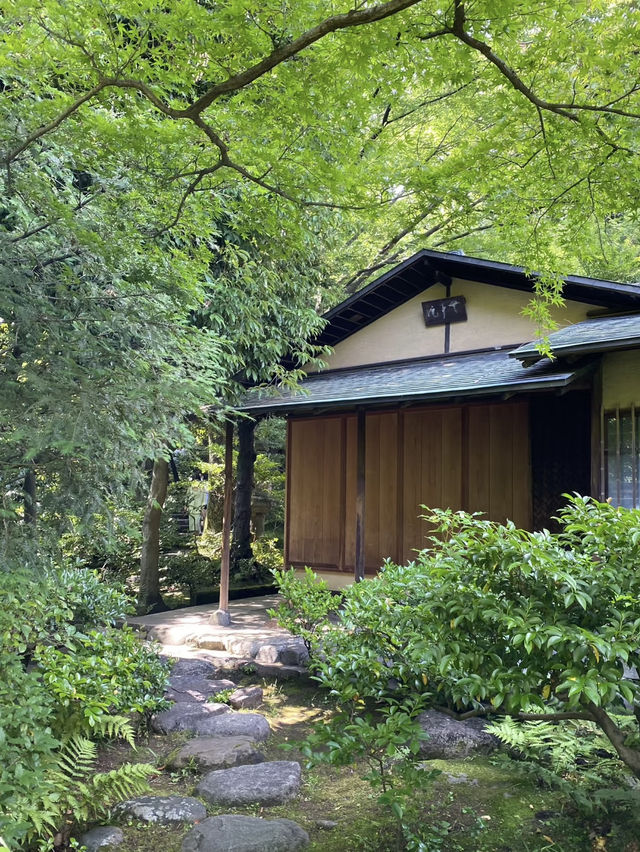 日本根津美術館｜藝術與自然的完美結合 ✨