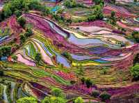 "Yuanyang Rice Terraces: A Masterpiece of Nature and Culture"