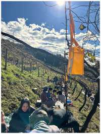 【栃木/足利】年に1度の収穫祭が楽しすぎた‼︎＊COCO FARM & WINERY＊