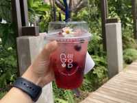 GOOD BEANS CAFE KHONKEAN
