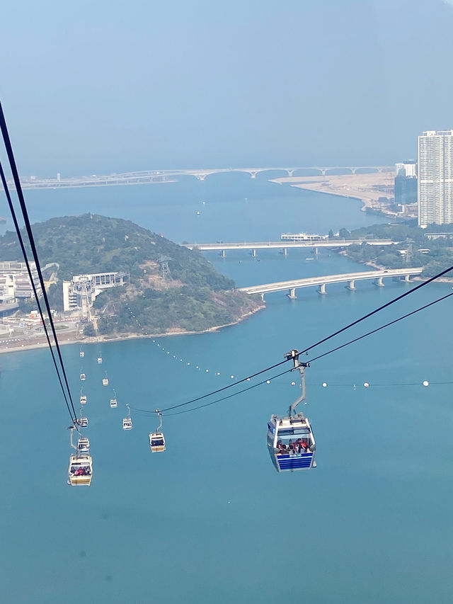 坐坐昂坪360纜車🚡，拜拜天壇大佛