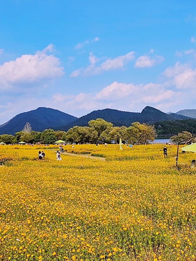 Muljeongwon Flower Festival Review – Namyangju