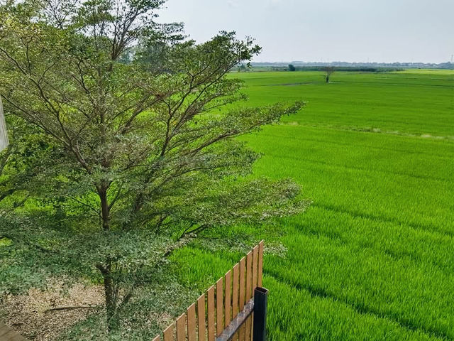 เรือนจรุง—ร้านลับอยุธยา ที่ต้องจองข้ามปี