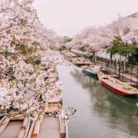 Yanagawa