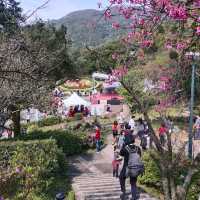 陽明山國家公園 (Yangmingshan National Park)