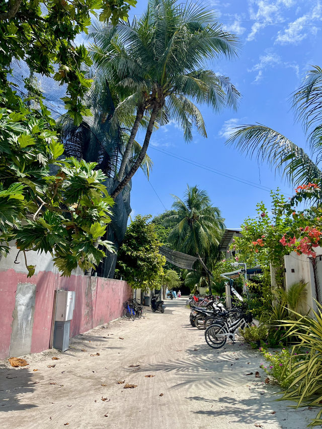 A peaceful paradise🧡