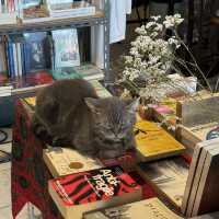 A BOOK with NO NAME ร้านหนังสือที่ชิกๆ ย่านสามเสน