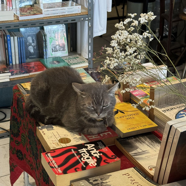 A BOOK with NO NAME ร้านหนังสือที่ชิกๆ ย่านสามเสน
