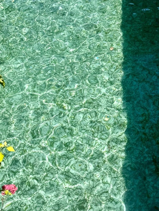 Kapalai: A Dive Into Pristine Beauty