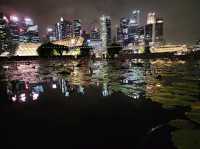 [🇸🇬シンガポール] 夜のシンガポールの街を歩く