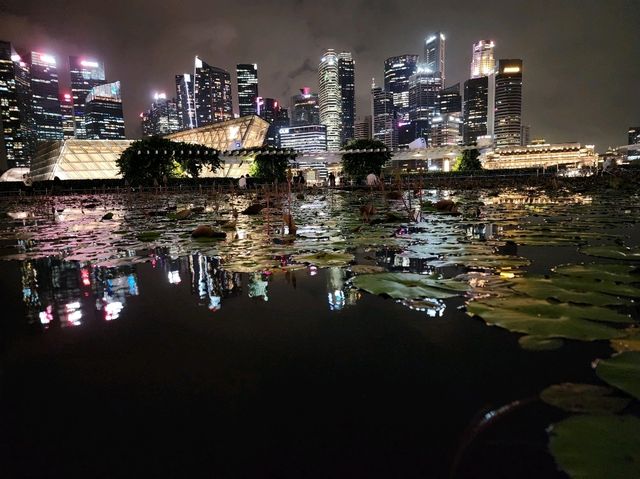 [🇸🇬シンガポール] 夜のシンガポールの街を歩く