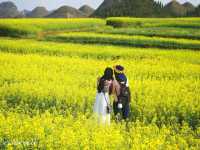 【中国】圧巻の菜の花のじゅうたん！「羅平菜の花畑」