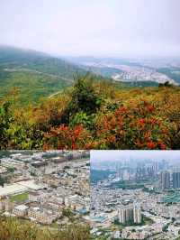 深圳打鼓嶂千島湖• 馬巒山•鵝公髻三山連走