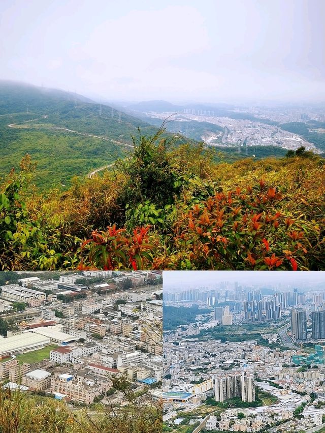 深圳打鼓嶂千島湖• 馬巒山•鵝公髻三山連走