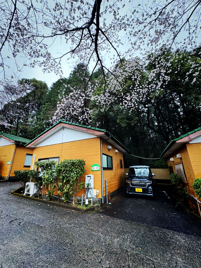 櫻櫻溫泉旅館