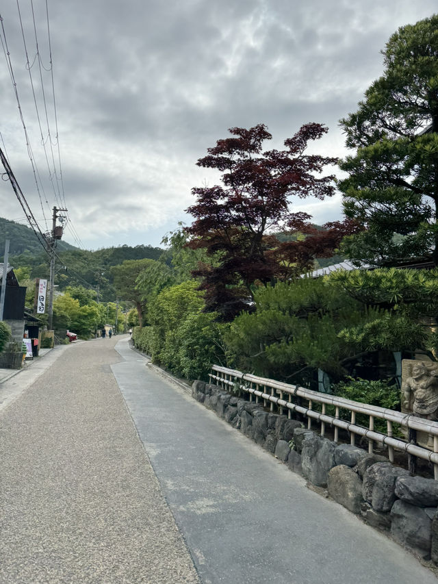 🌸 교토 벚꽃 명소 & 감성 사진 스팟 도게츠교 🌁
