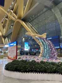 【中国🇨🇳昆明】お花いっぱいの空港✈️
