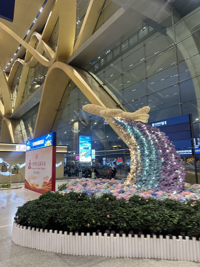 【中国🇨🇳昆明】お花いっぱいの空港✈️