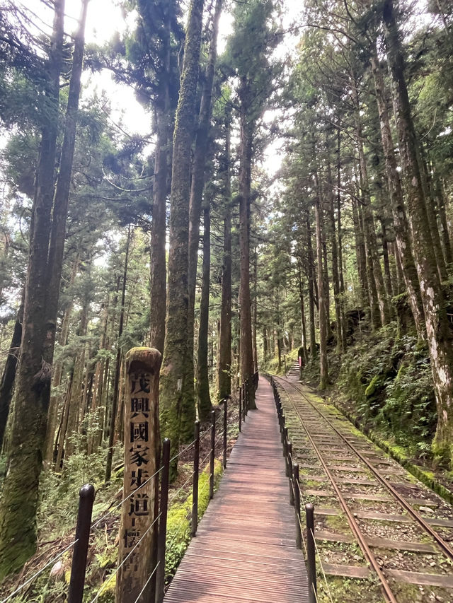 台灣宜蘭/太平山懷舊蹦蹦車🚂🚂
