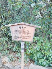 자연을 느끼기 좋은 일본 소도시 추천🇯🇵
