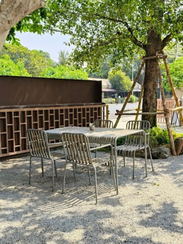 🧀 Chirp Cafe and Chat Space
