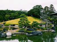 静寂と四季が彩る癒しの空間🌿⛲