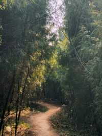 A scenic trek up to a hidden Temple