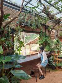 Akipu Coffee - อะกิปุ 🌿