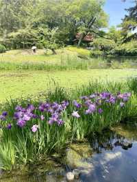 A Green Oasis: Ritsurin Garden