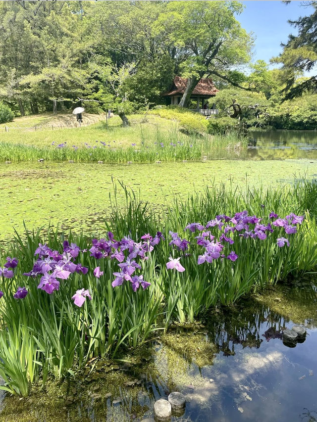 A Green Oasis: Ritsurin Garden
