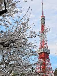 東京賞櫻攻略：中目黑、澀谷、中野、芝公園，一次蒐集所有粉嫩美景！🌸