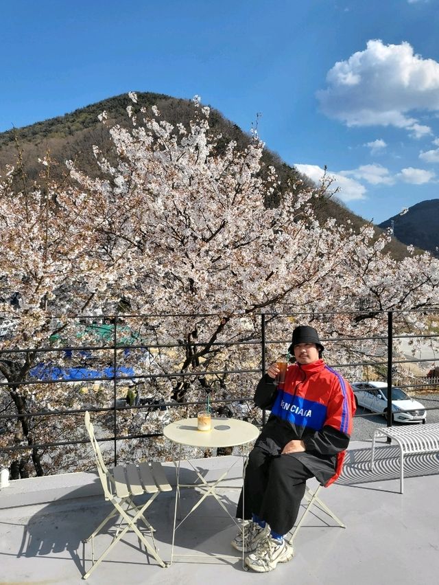 벚꽃엔딩이 아쉬워지는 밀양 감성카페