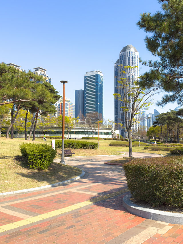 벚꽃 피크닉이 가능한 부산 APEC 나루공원🌸